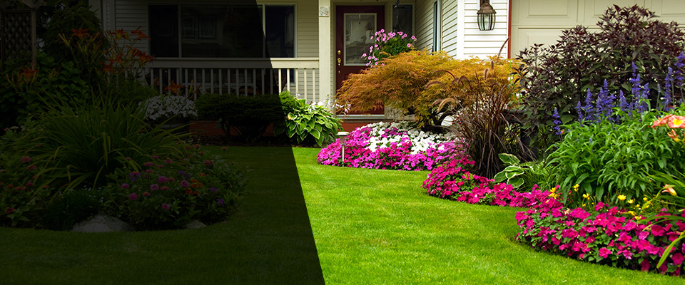 Spruce Pine Landscapers