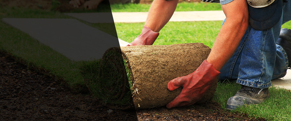 Spruce Pine Landscapers